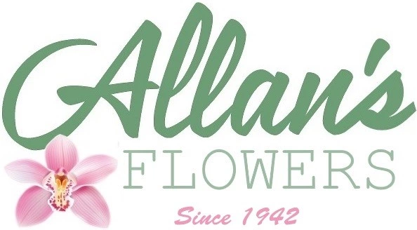 ALLANSLOGO