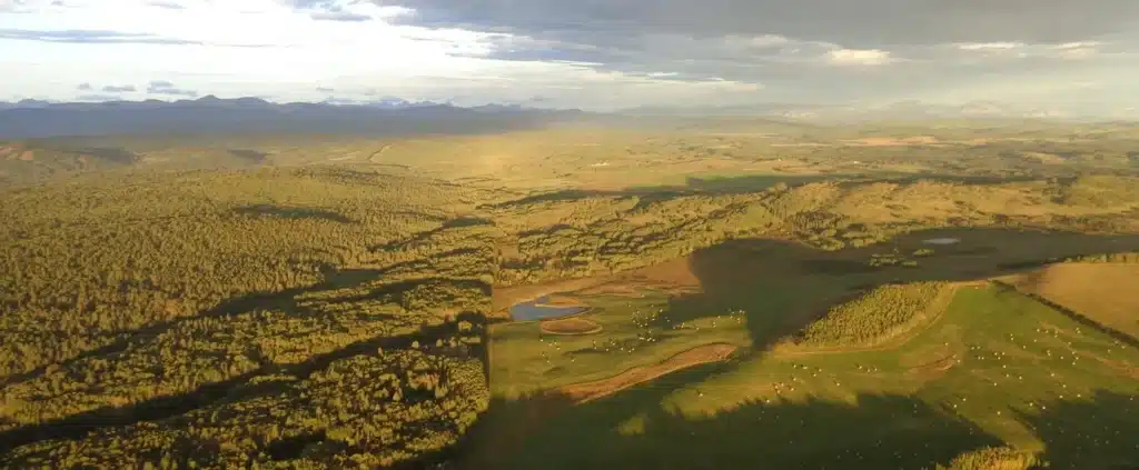 Golden hour aerial view of Alberta foothills ranchland and aspen forest on a Bragg Creek Helicopter Tour with L R Helicopters